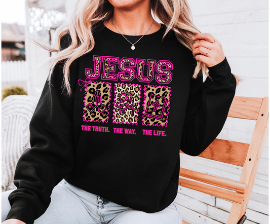 Jesus is the way Tee or Sweatshirt